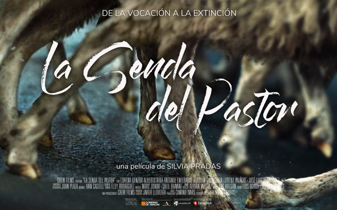 «LA SENDA DEL PASTOR» PRIMER LARGOMETRAJE DOCUMENTAL DE CREW FILMS